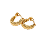 Anava Crescent Earrings
