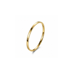 Anava Gold Ring