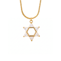 Star Of David Jewel Pendant