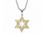 Star of David Inset Pendant