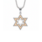Star of David Inset Pendant